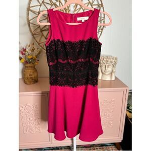 Women's Loft Pink & Black Lace Dress Size 0‎